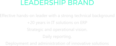 LEADERSHIP BRAND Effective hands-on leader with a strong technical background  +20 years in IT solutions on ERP   Strategic and operational vision.  Daily reporting.  Deployment and administration of innovative solutions