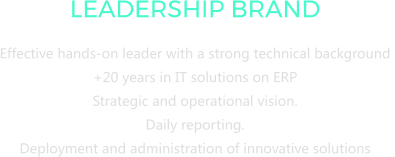 LEADERSHIP BRAND Effective hands-on leader with a strong technical background  +20 years in IT solutions on ERP   Strategic and operational vision.  Daily reporting.  Deployment and administration of innovative solutions